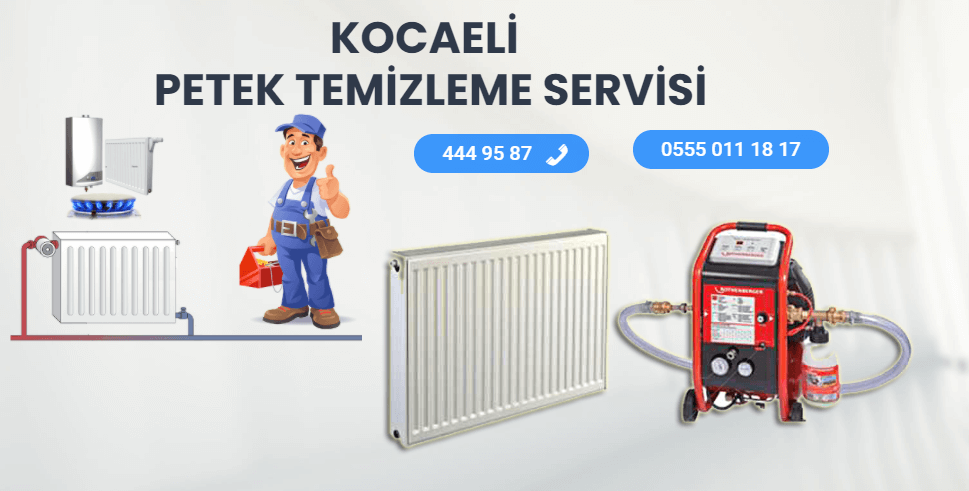 Petek Temizleme Servisi Kocaeli